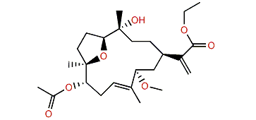 Dendronpholide O